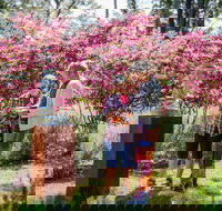 Sculpture at Petana - Attractions Melbourne
