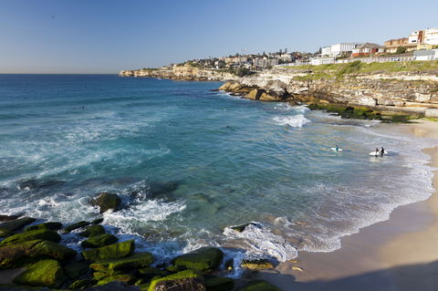 Tamarama Beach - Attractions Melbourne 1