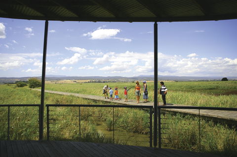Tamar Island Wetlands Centre And Reserve - Attractions Melbourne 0
