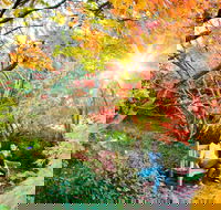 The Blue Mountains Botanic Garden Mount Tomah - Attractions Melbourne