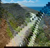 The Coast Walking Track - Attractions Melbourne