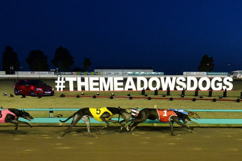 The Meadows - Attractions Melbourne 0
