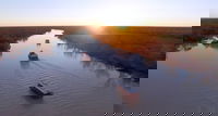 Thomson River Longreach