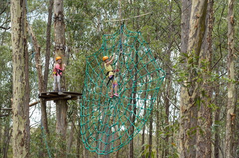 TreeTops Newcastle - Attractions Melbourne 0