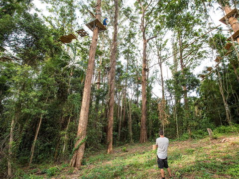 TreeTop Challenge - Sunshine Coast - Attractions Melbourne 1