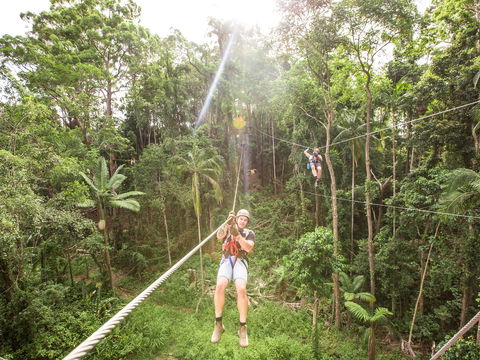 TreeTop Challenge - Sunshine Coast - Attractions Melbourne 2