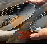 Tuena Panning for Gold - Attractions Melbourne