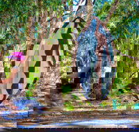 Wagirra Trail and Yindyamarra Sculpture Walk - Attractions Melbourne