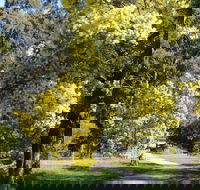 Wattle Park - Attractions Melbourne
