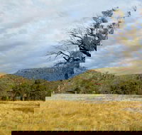 Weddin Mountains National Park - Attractions Melbourne