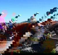 Western Plains Riding Centre - Open - Attractions Melbourne