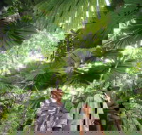 Wet Tropics Rainforest - Attractions Melbourne