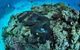 Wreck Bay Dive Site - thumb 1