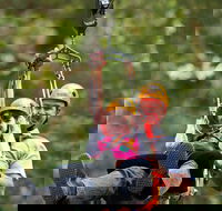 Zipline at Illawarra Fly - Attractions Melbourne