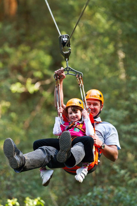 Zipline At Illawarra Fly - Attractions Melbourne 0