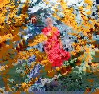 A Changing Australia The Time of Gough Whitlam - Attractions Melbourne
