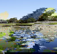 Anderson Park Botanic Gardens - Attractions Melbourne