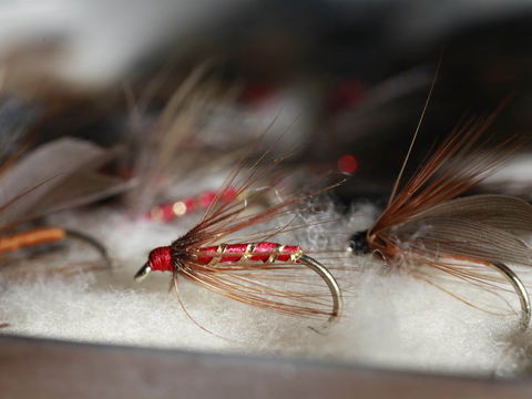 Australian Fly Fishing Museum - Attractions Melbourne 0