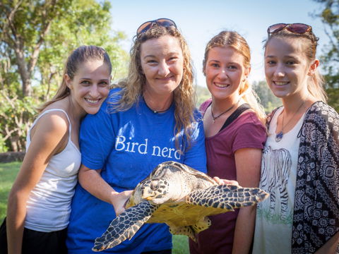 Australian Seabird Rescue - Attractions Melbourne 0