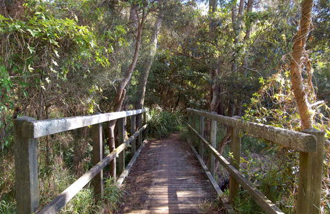 Awaba Bay Foreshore Walk - Attractions Melbourne 0
