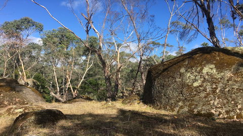 Bailey's Rocks - Dergholm State Park - Attractions Melbourne 0