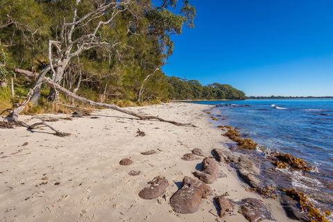 Barfleur Beach - Attractions Melbourne 0