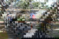 Bidgee Riverside Trail  - Hay Nature Walk