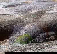 Blowhole and the Rocks - Attractions Melbourne