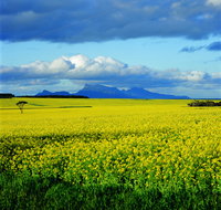 Borden - Attractions Melbourne