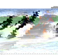 Broadbeach Surf School - Attractions Melbourne