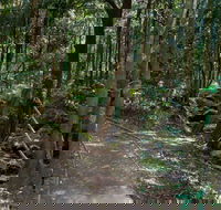 Cascades Walk - Attractions Melbourne