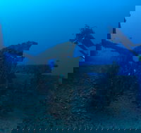 Cementco Dive Site - Attractions Melbourne