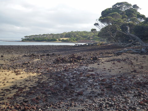 Churchill Island Marine National Park - Attractions Melbourne 0
