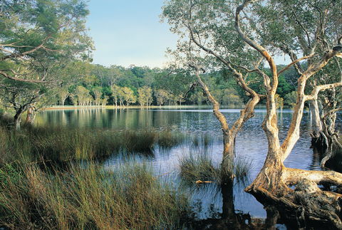 Cooloola, Great Sandy National Park - Attractions Melbourne 1