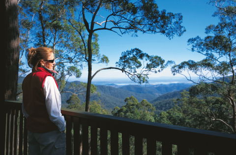 D'Aguilar National Park - Attractions Melbourne 0