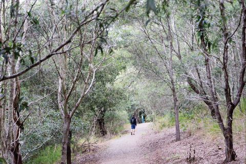 D'Aguilar National Park - Attractions Melbourne 2