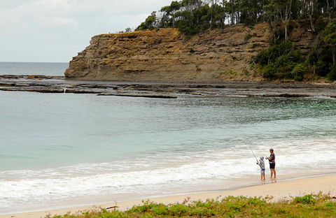 Depot Beach Picnic Area - Attractions Melbourne 0