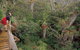 Dove Lake - thumb 1