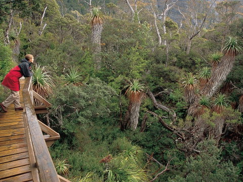 Dove Lake - Attractions Melbourne 1