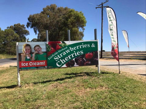 Fairfield Orchard - Attractions Melbourne 0