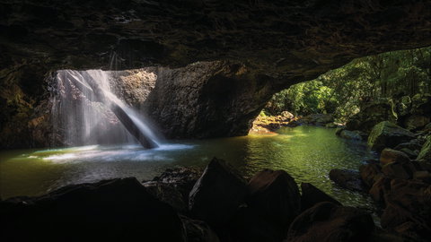 Gondwana Rainforests Of Australia World Heritage Area - Attractions Melbourne 0