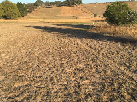 Gunning Golf Club - Attractions Melbourne 0