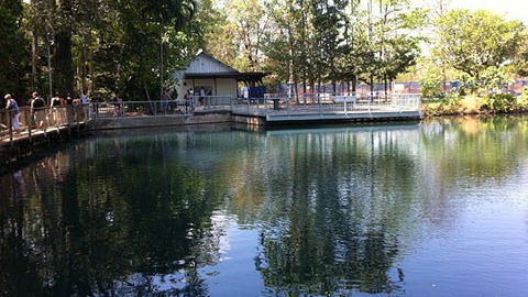 Howard Springs Nature Park - Attractions Melbourne 1