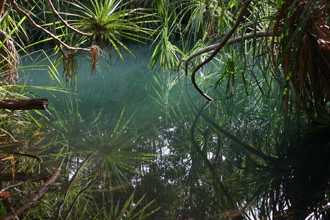 Howard Springs Nature Park - Attractions Melbourne 2