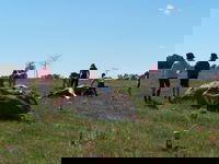 Jim Salmon  Wetland Education Site