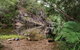 Jourama Falls, Paluma Range National Park - thumb 1