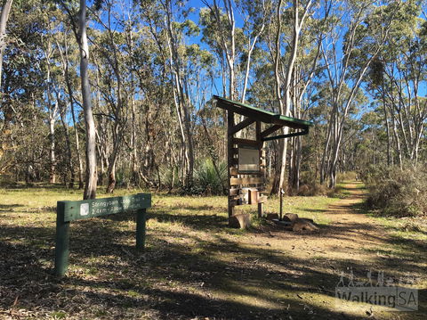 Kaiserstuhl Conservation Park - Attractions Melbourne 0