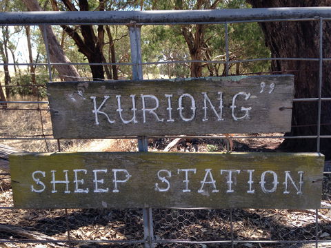 Kuriong Sheep Station - Attractions Melbourne 0