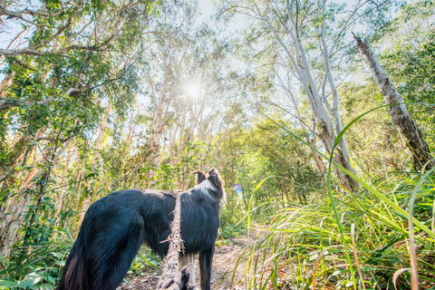Lamb Island (Nguderoo) - Attractions Melbourne 1