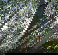 Leeuwin-Naturaliste National Park - Leeuwin - Attractions Melbourne